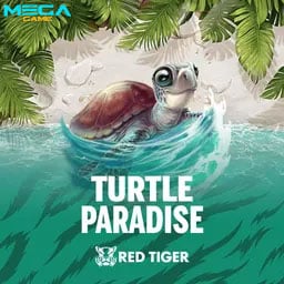 รูป Turtle Paradise